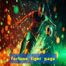 fortune tiger paga de madrugada